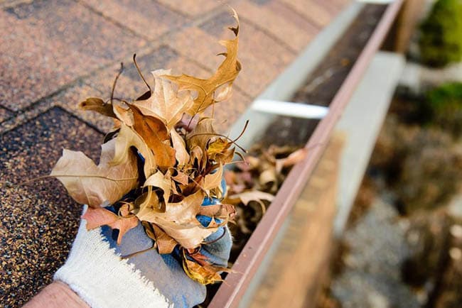 Blocked Gutter Cleaning in Hastings