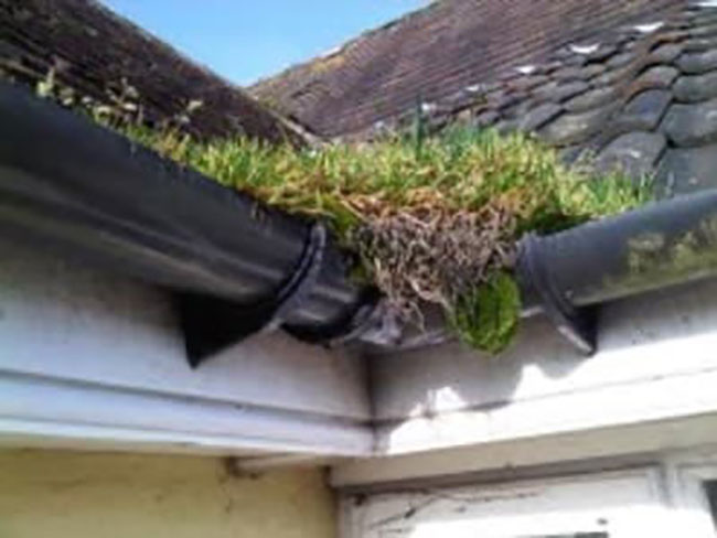 Cleaning Blocked Gutters in Balcombe